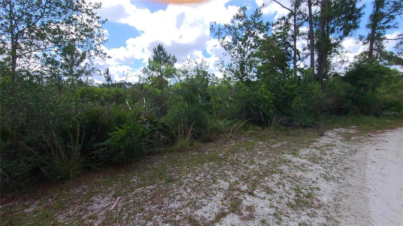 2575 BEAR RUN S, FROSTPROOF, FL — photo 6