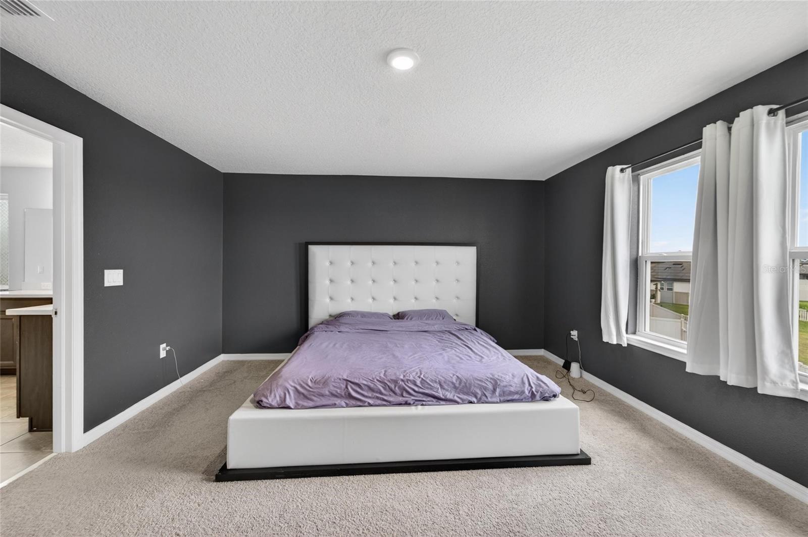 13519 PALMERA VISTA DR, RIVERVIEW, FL — photo 31