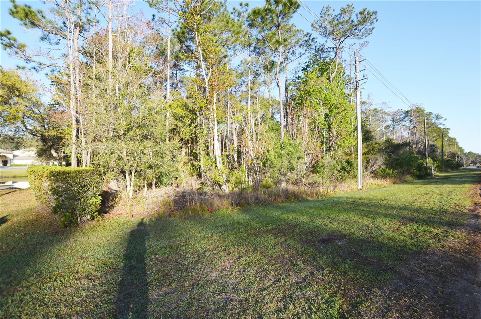 XXXX PINE LAKES PKWY, PALM COAST, FL — photo 7