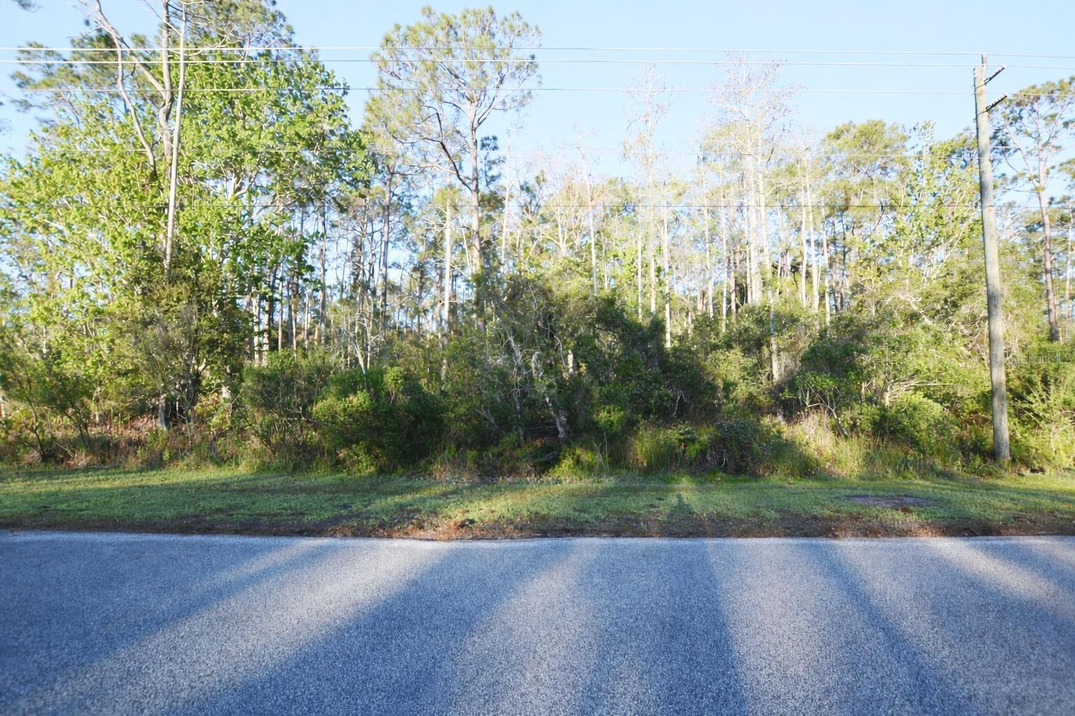 XXXX PINE LAKES PKWY, PALM COAST, FL — photo 9