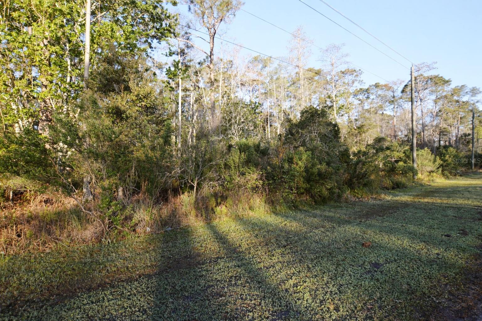 XXXX PINE LAKES PKWY, PALM COAST, FL — photo 11