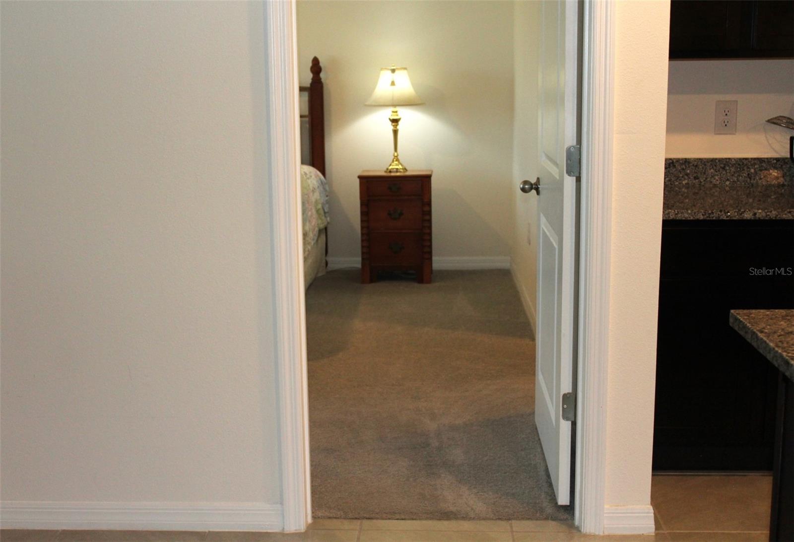 810 WILL SCARLETT AVE, RUSKIN, FL — photo 25