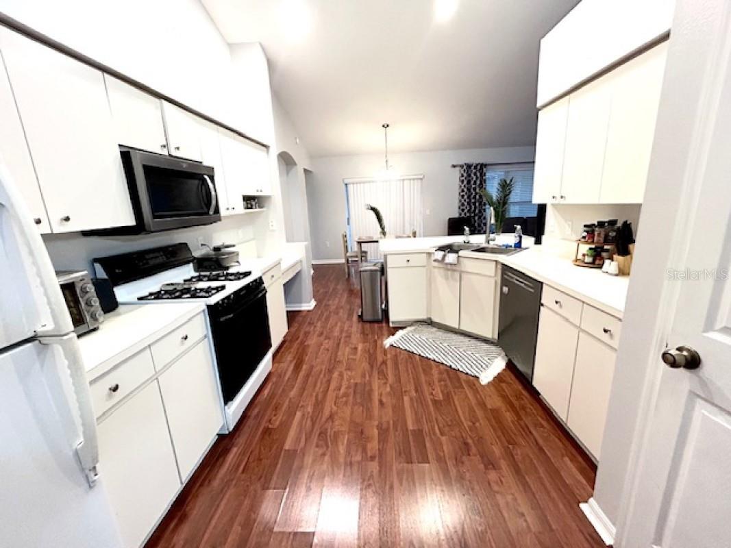 1135 BIG SKY DR, WESLEY CHAPEL, FL — photo 11