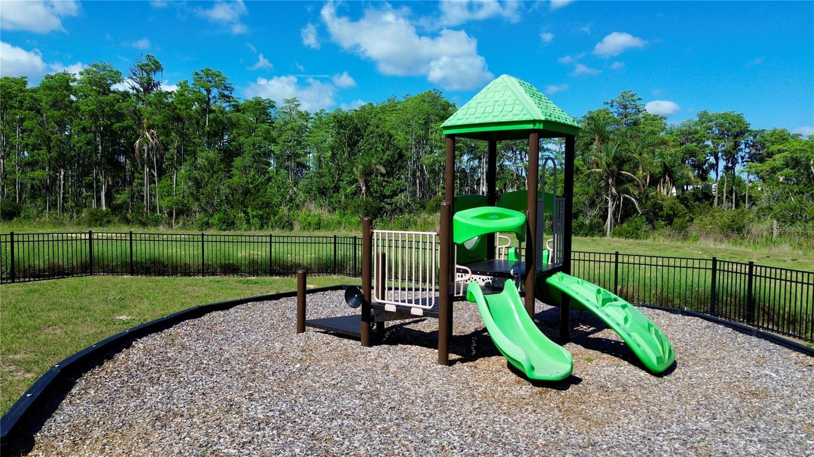 12103 EASTMOOR DR, WINTER GARDEN, FL — photo 22