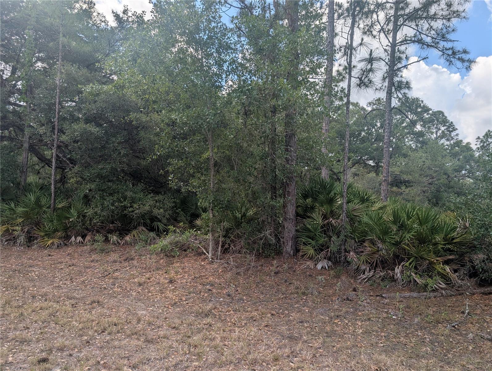 ALLAMANDA DR, INDIAN LAKE ESTATES, FL