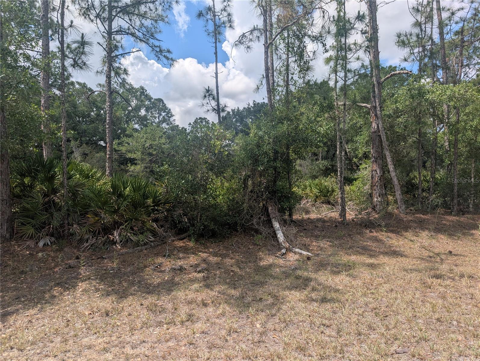 ALLAMANDA DR, INDIAN LAKE ESTATES, FL — photo 4