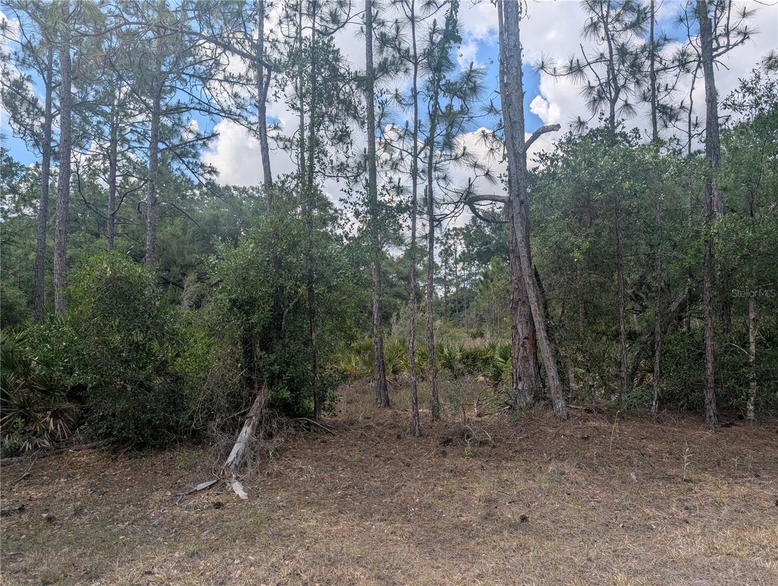 ALLAMANDA DR, INDIAN LAKE ESTATES, FL — photo 6