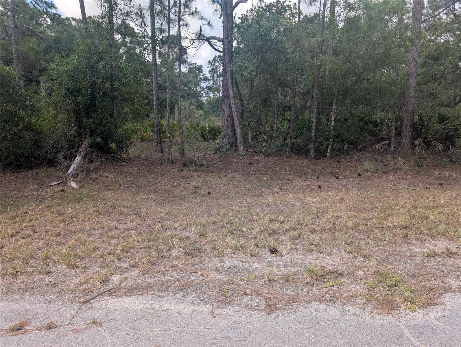 ALLAMANDA DR, INDIAN LAKE ESTATES, FL — photo 7