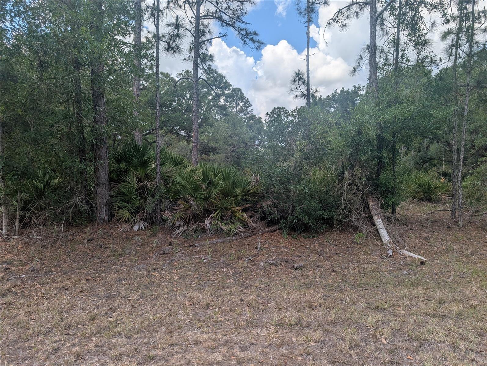 ALLAMANDA DR, INDIAN LAKE ESTATES, FL — photo 8