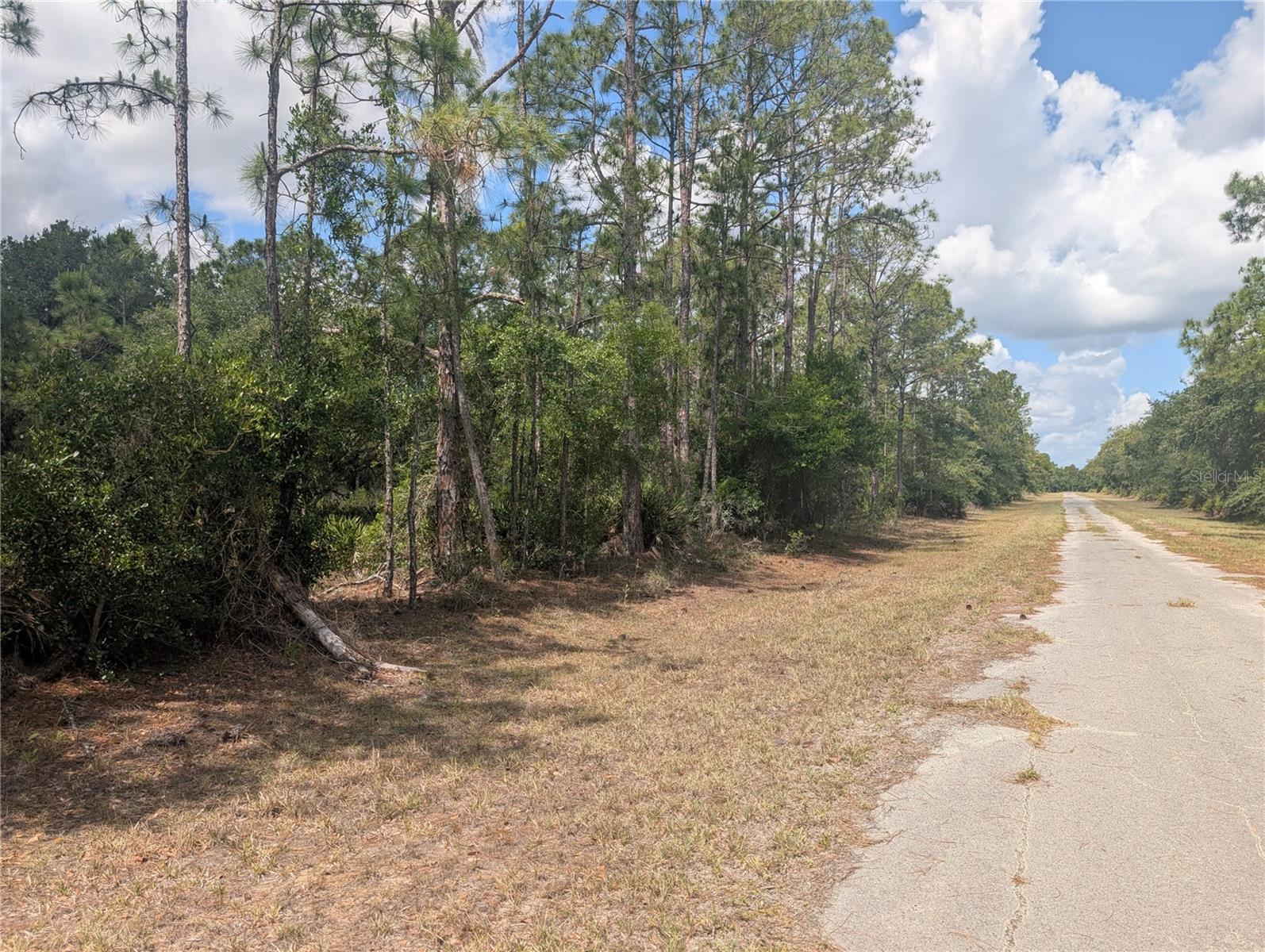 ALLAMANDA DR, INDIAN LAKE ESTATES, FL — photo 9