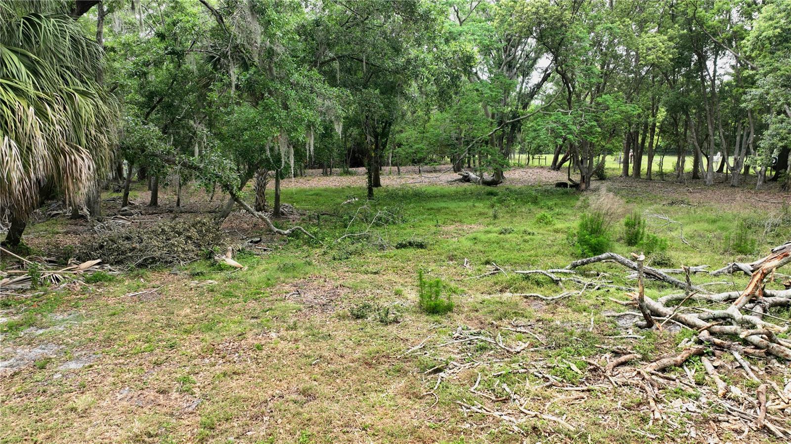 OLD CONE GROVE ROAD, RIVERVIEW, FL — photo 5