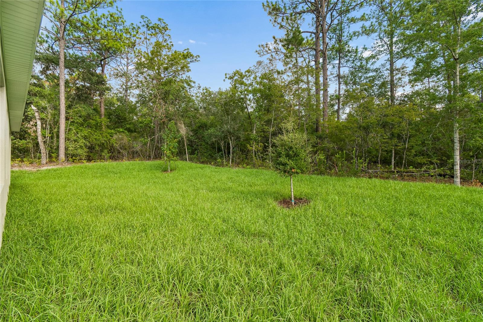 1591 DOLORES, DUNNELLON, FL — photo 2