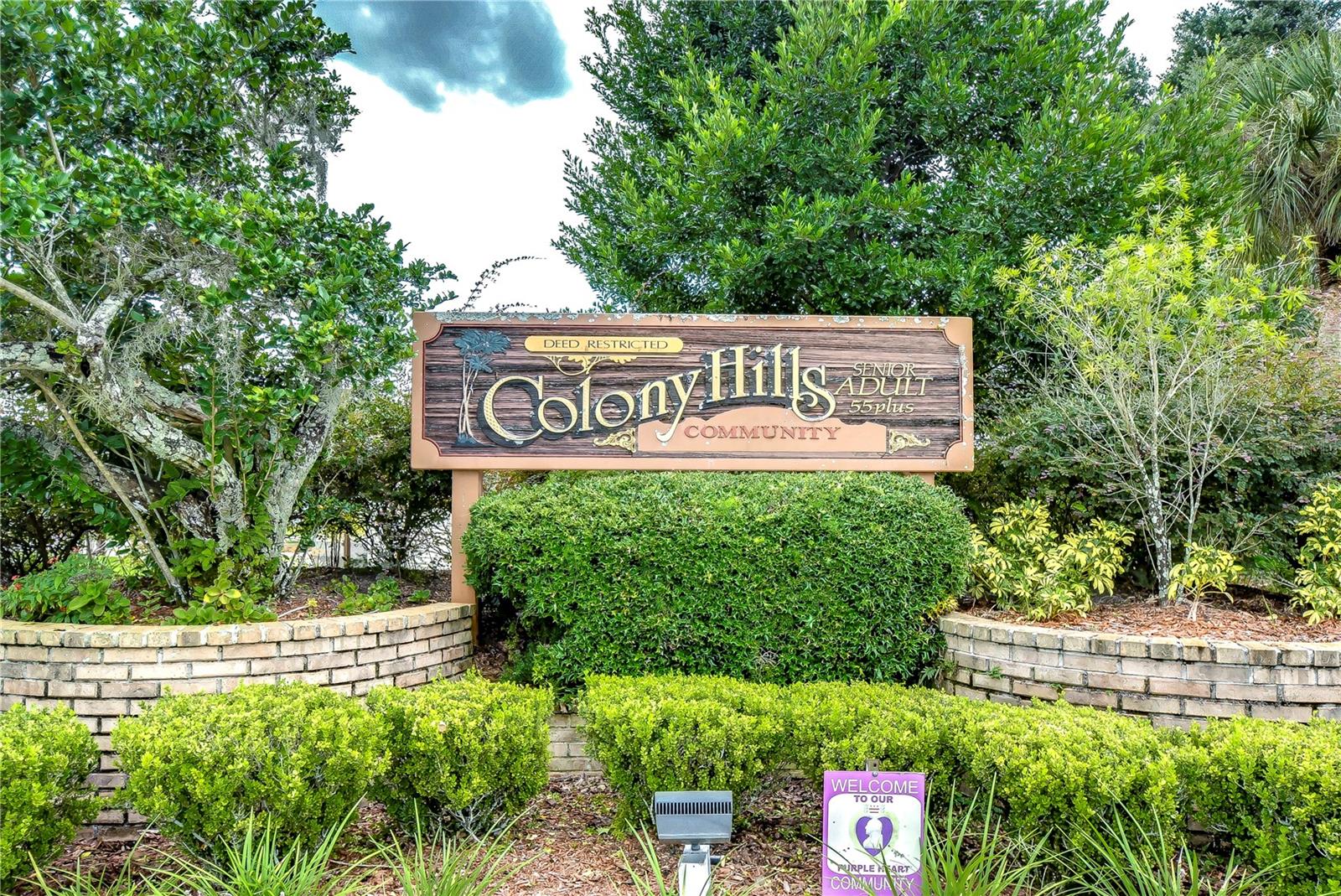 35123 COLONY HILLS DR, ZEPHYRHILLS, FL — photo 44