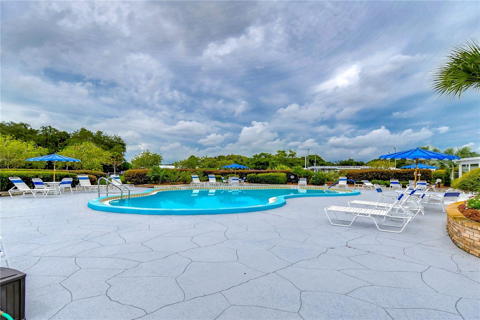 35123 COLONY HILLS DR, ZEPHYRHILLS, FL — photo 48