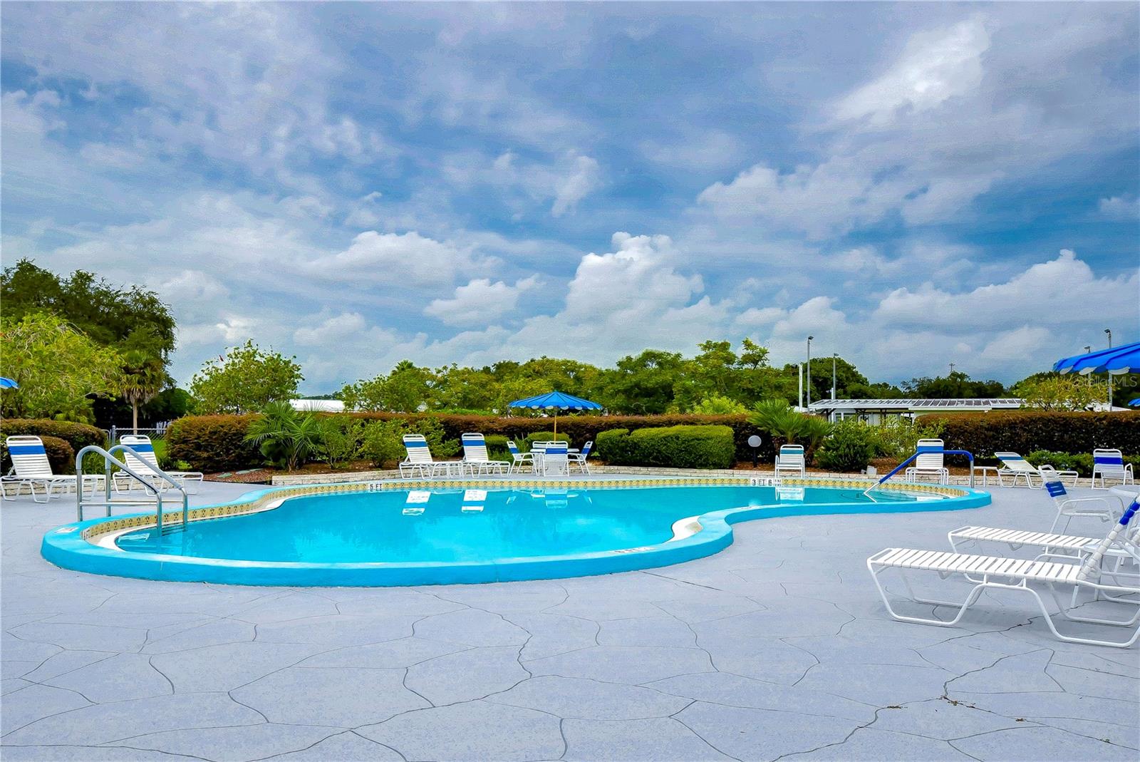 35123 COLONY HILLS DR, ZEPHYRHILLS, FL — photo 49