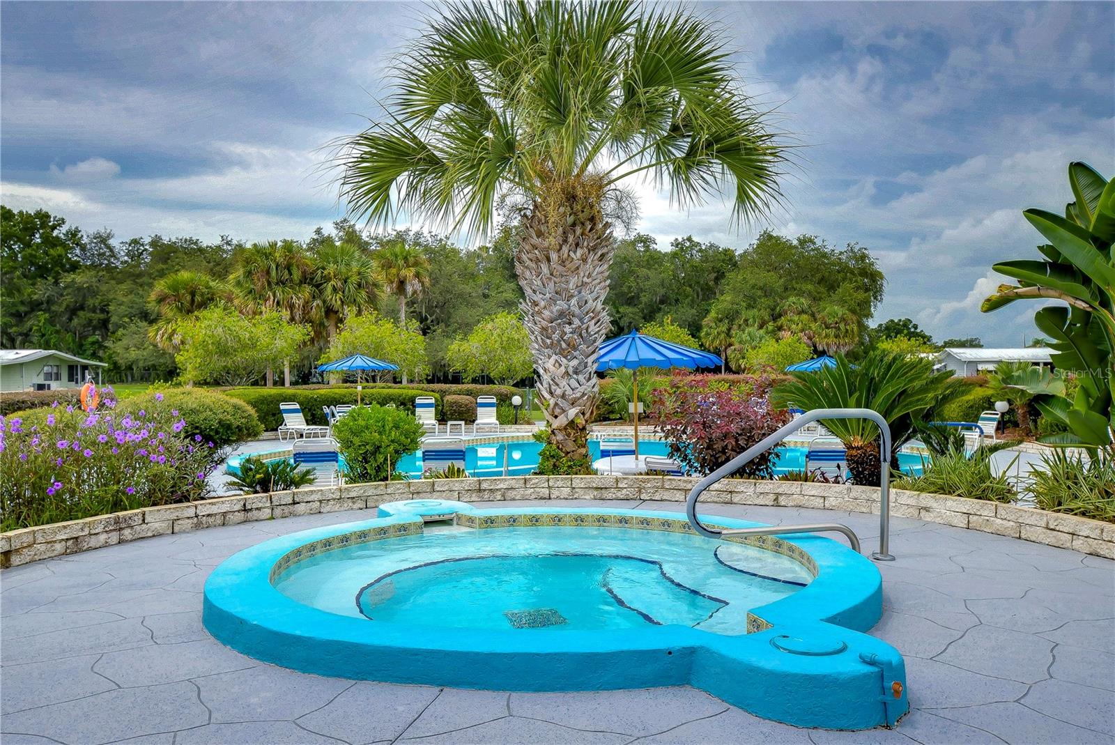 35123 COLONY HILLS DR, ZEPHYRHILLS, FL — photo 50