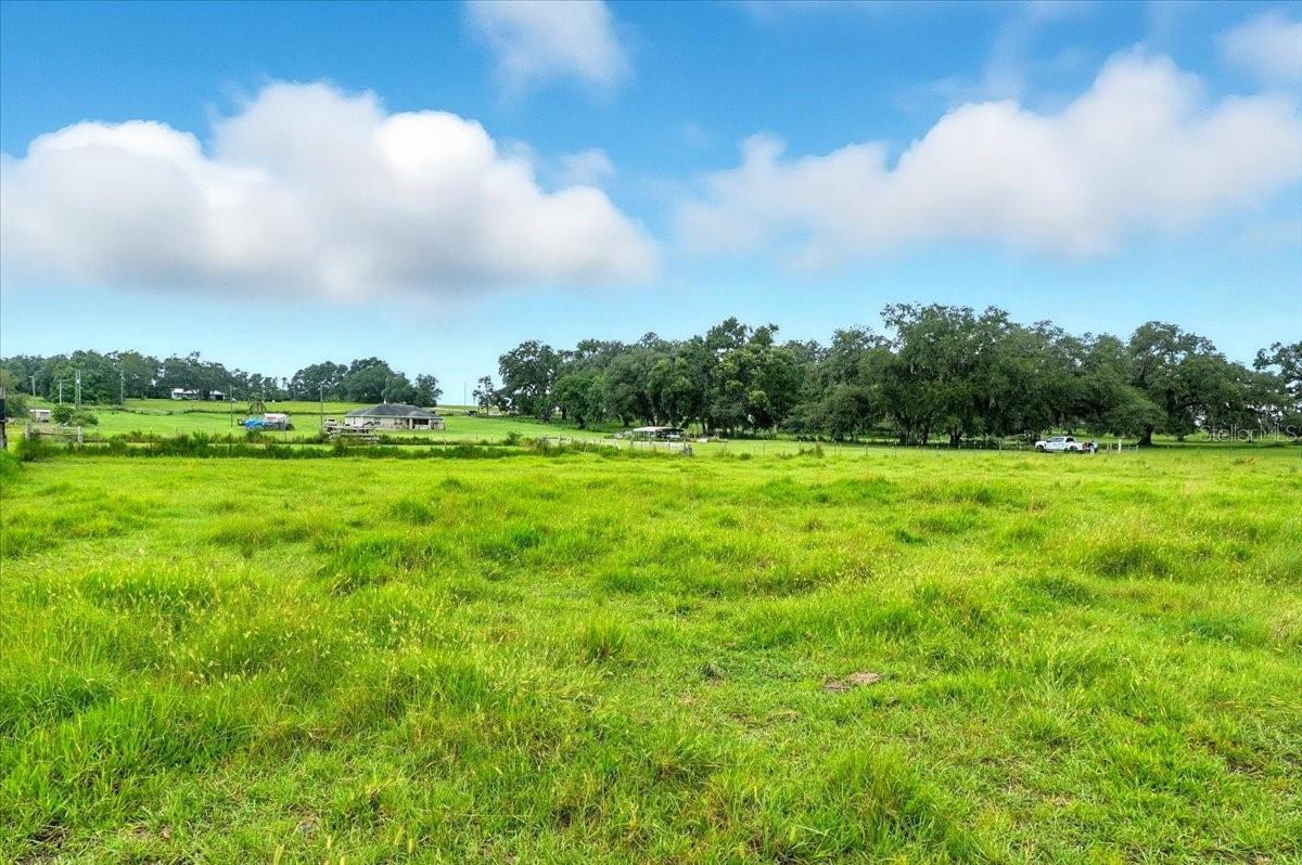 39410 SPARKMAN RD, DADE CITY, FL — photo 9