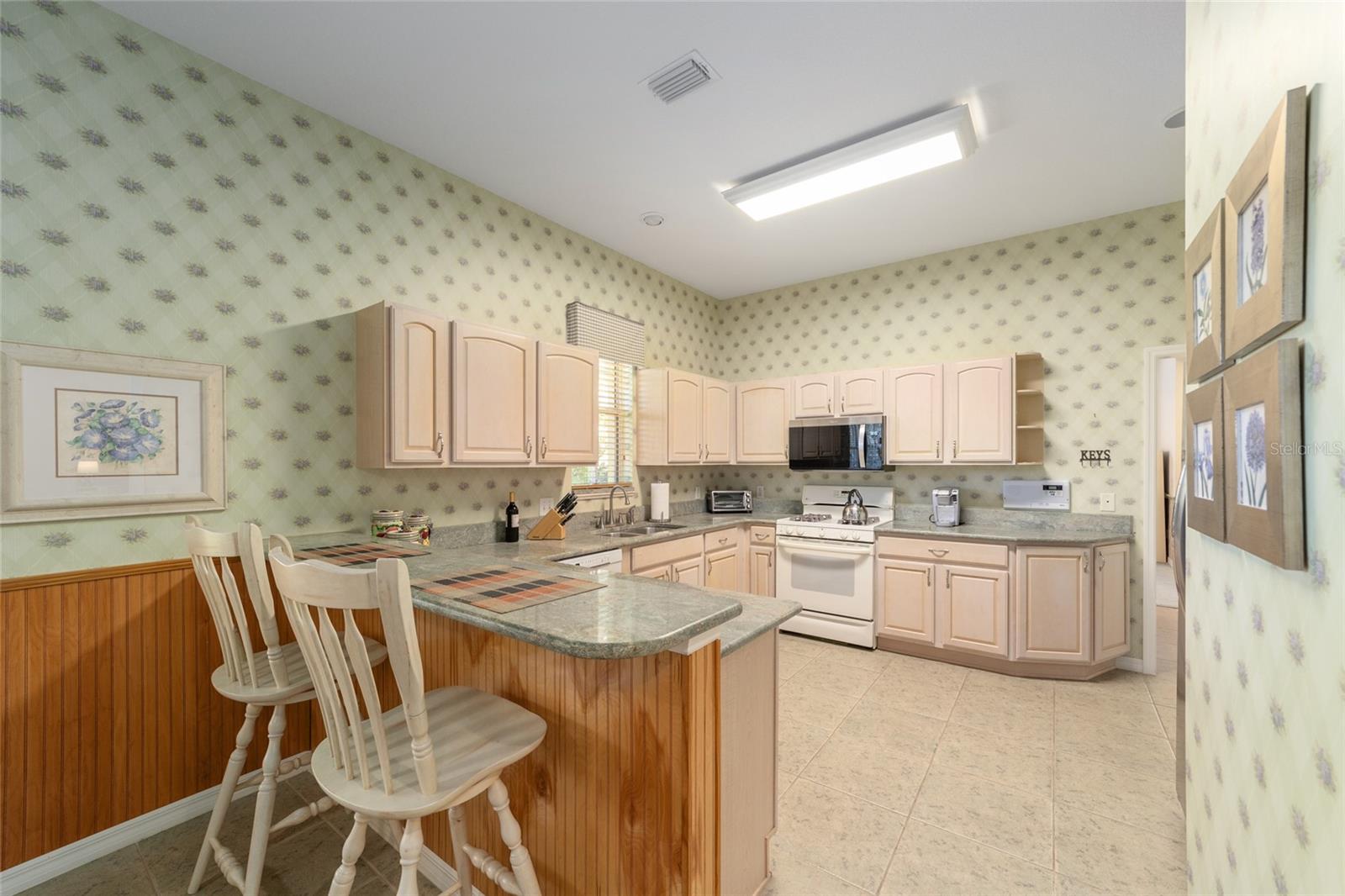 1074 AVENIDA SONOMA, LADY LAKE, FL — photo 31