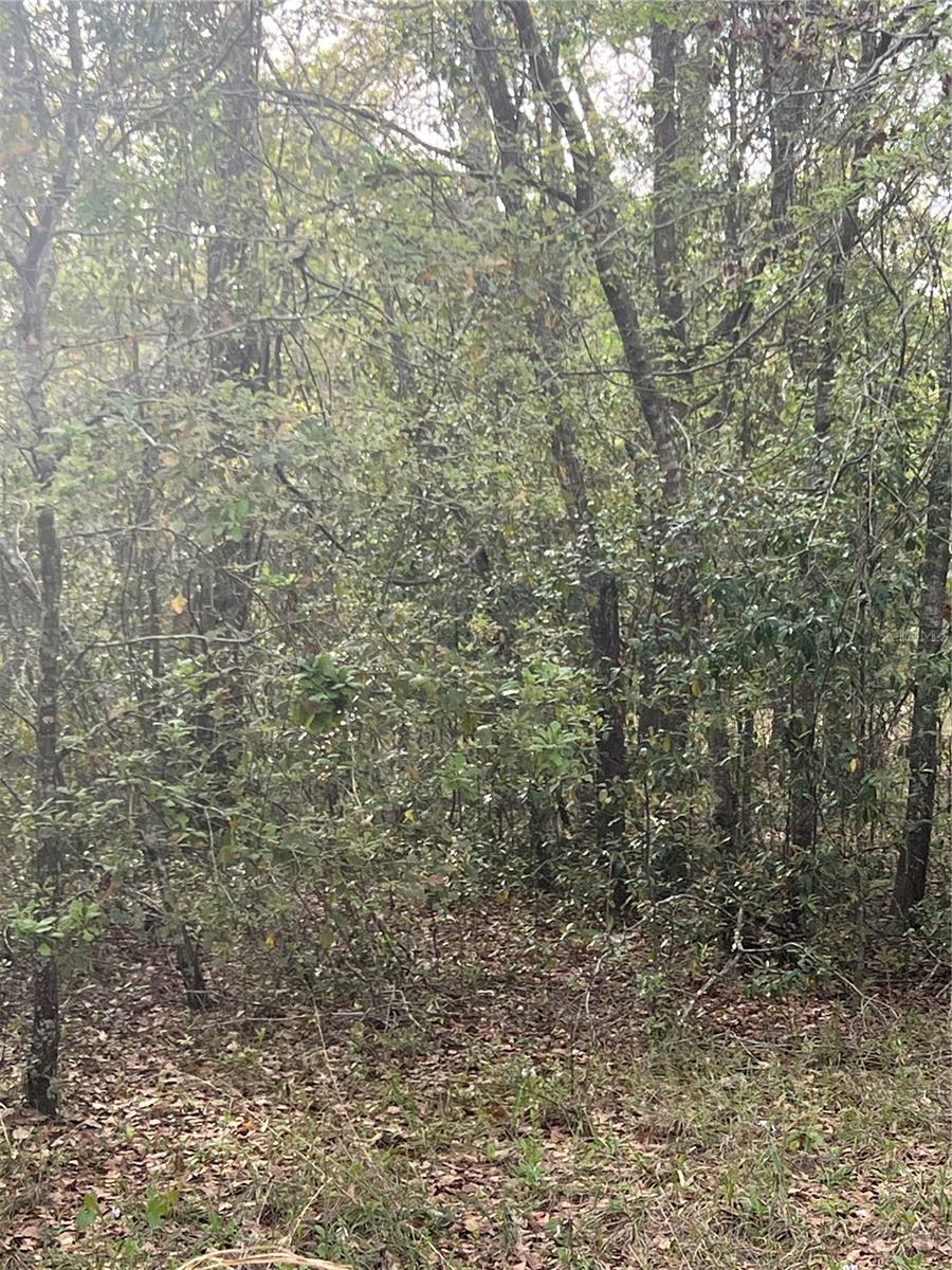 0000 NE 125TH ST, BRONSON, FL — photo 2