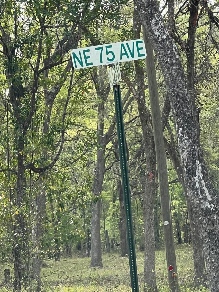0000 NE 125TH ST, BRONSON, FL — photo 6