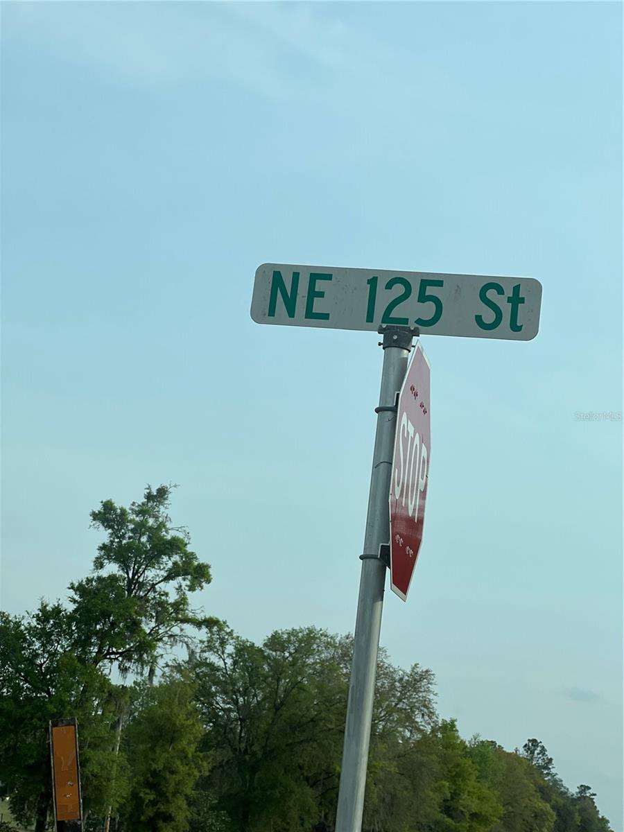 0000 NE 125TH ST, BRONSON, FL — photo 10