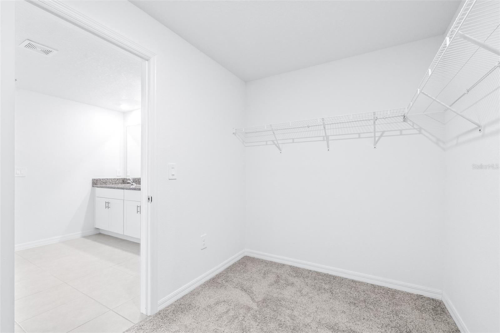 5182 FIDDLE FIG AVE, WIMAUMA, FL — photo 29