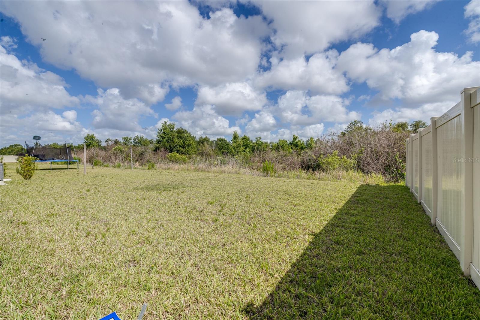 5182 FIDDLE FIG AVE, WIMAUMA, FL — photo 35