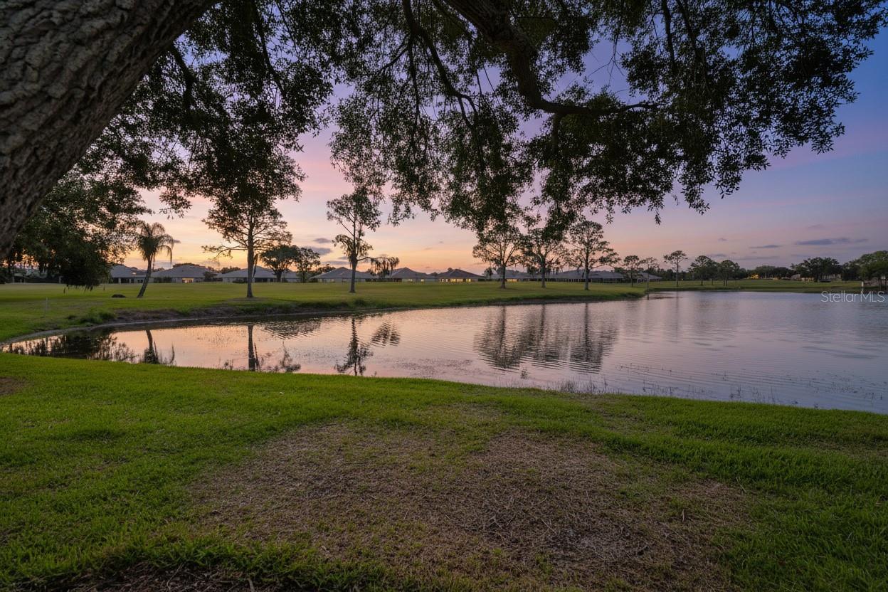 951 VILLEROY GREENS DR, SUN CITY CENTER, FL — photo 55