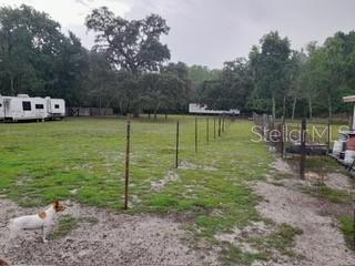 10034 BURTON ST, NEW PORT RICHEY, FL — photo 9