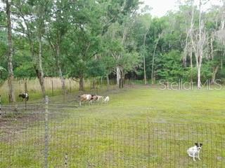 10034 BURTON ST, NEW PORT RICHEY, FL — photo 22