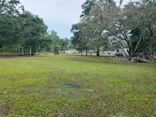 10034 BURTON ST, NEW PORT RICHEY, FL — photo 27