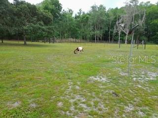 10034 BURTON ST, NEW PORT RICHEY, FL — photo 30