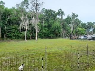 10034 BURTON ST, NEW PORT RICHEY, FL — photo 43