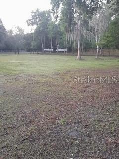 10034 BURTON ST, NEW PORT RICHEY, FL — photo 51