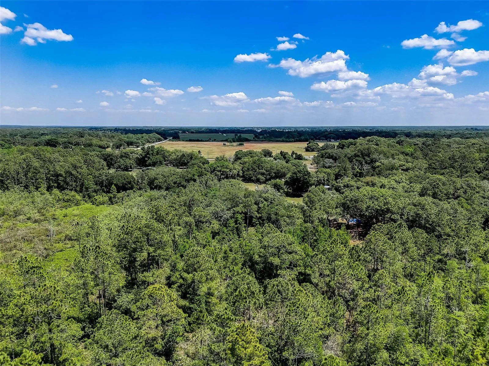 7119 STATE ROAD 33, CLERMONT, FL — photo 16