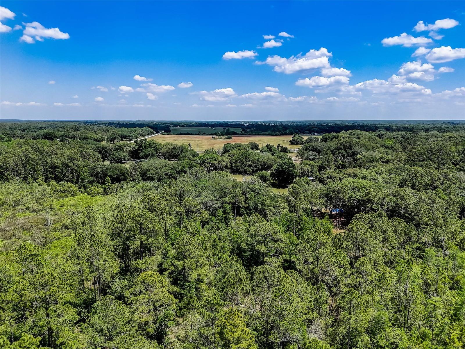 7119 STATE ROAD 33, CLERMONT, FL — photo 15