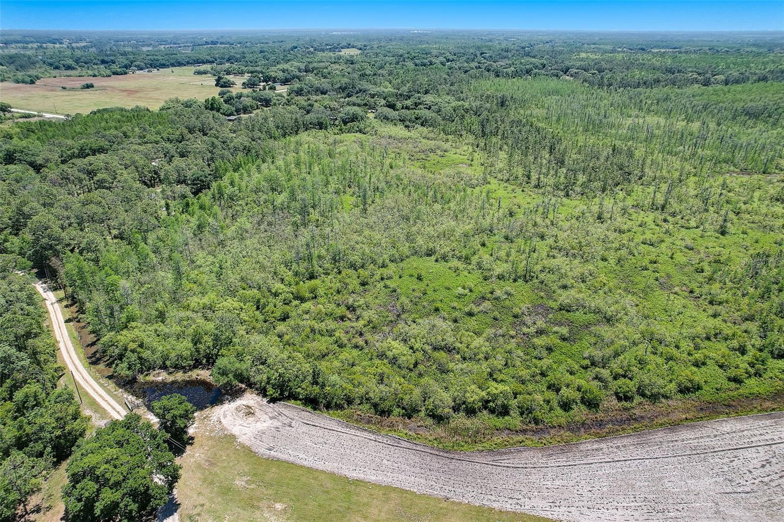 7119 STATE ROAD 33, CLERMONT, FL — photo 18