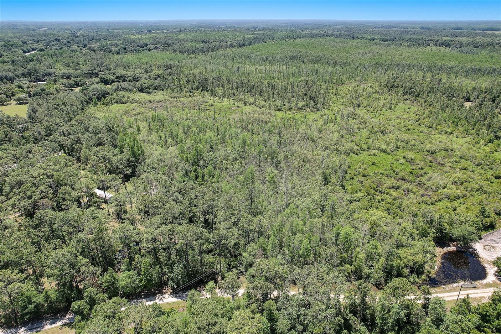 7119 STATE ROAD 33, CLERMONT, FL — photo 19