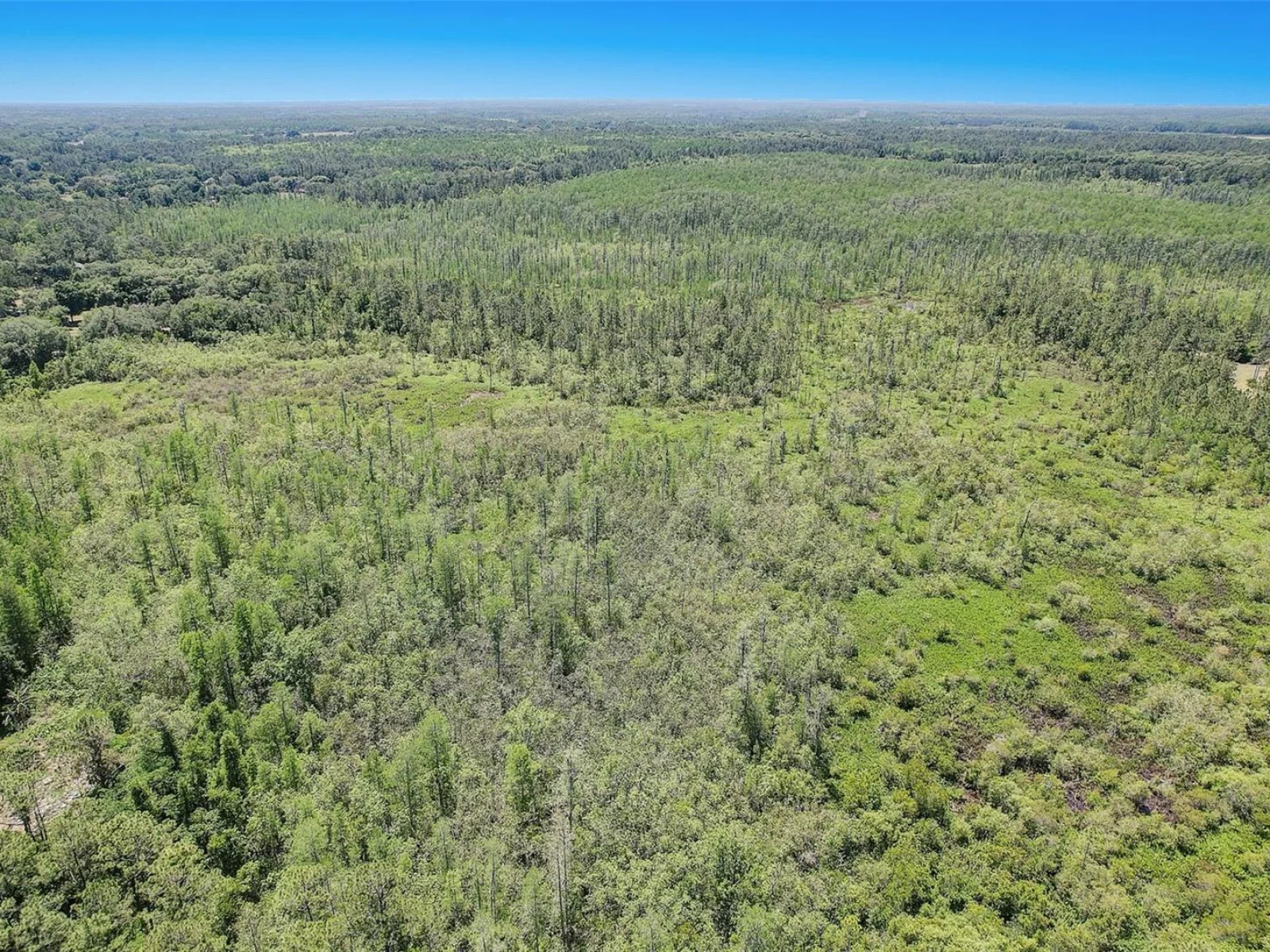 7119 STATE ROAD 33, CLERMONT, FL — photo 22