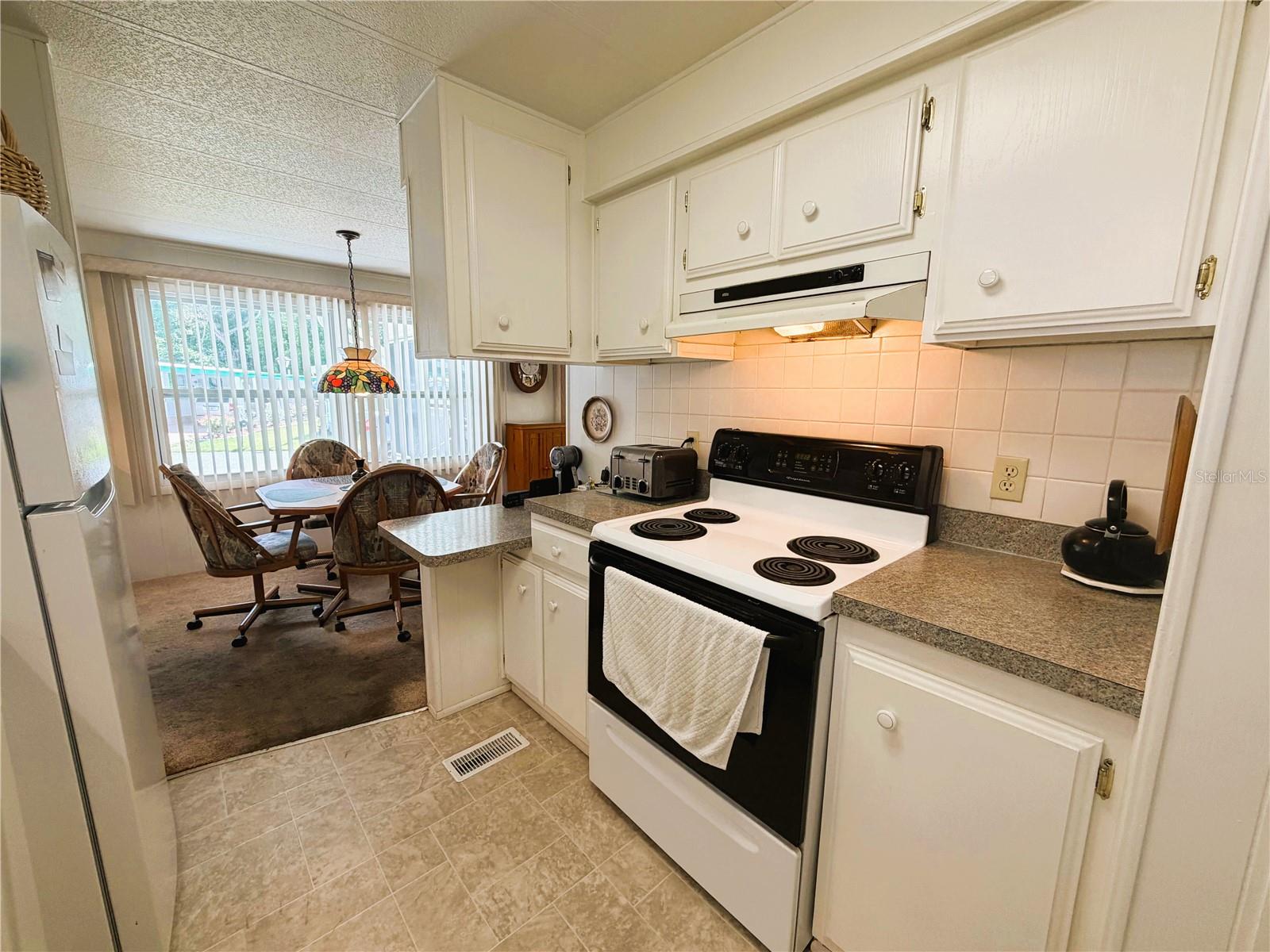 111 CHESTNUT ST, LEESBURG, FL — photo 14