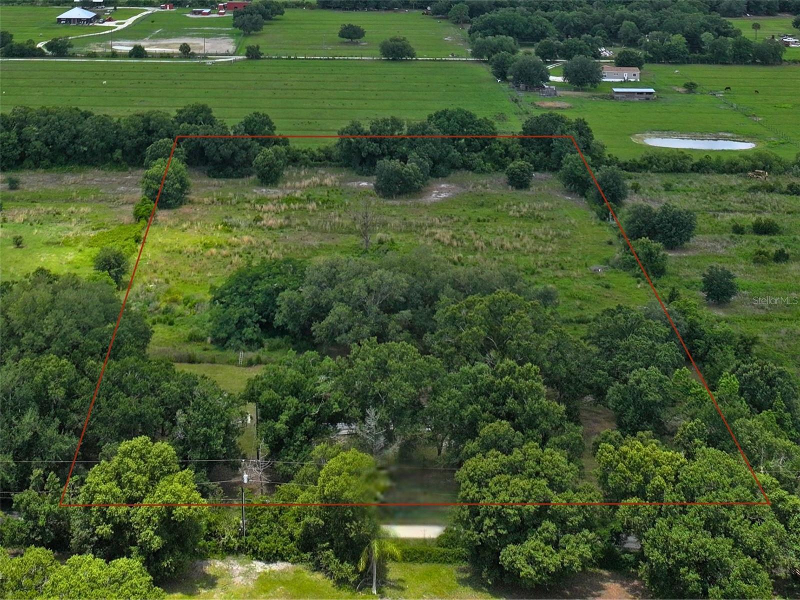 9827 SE HOTH RD, ARCADIA, FL — photo 5