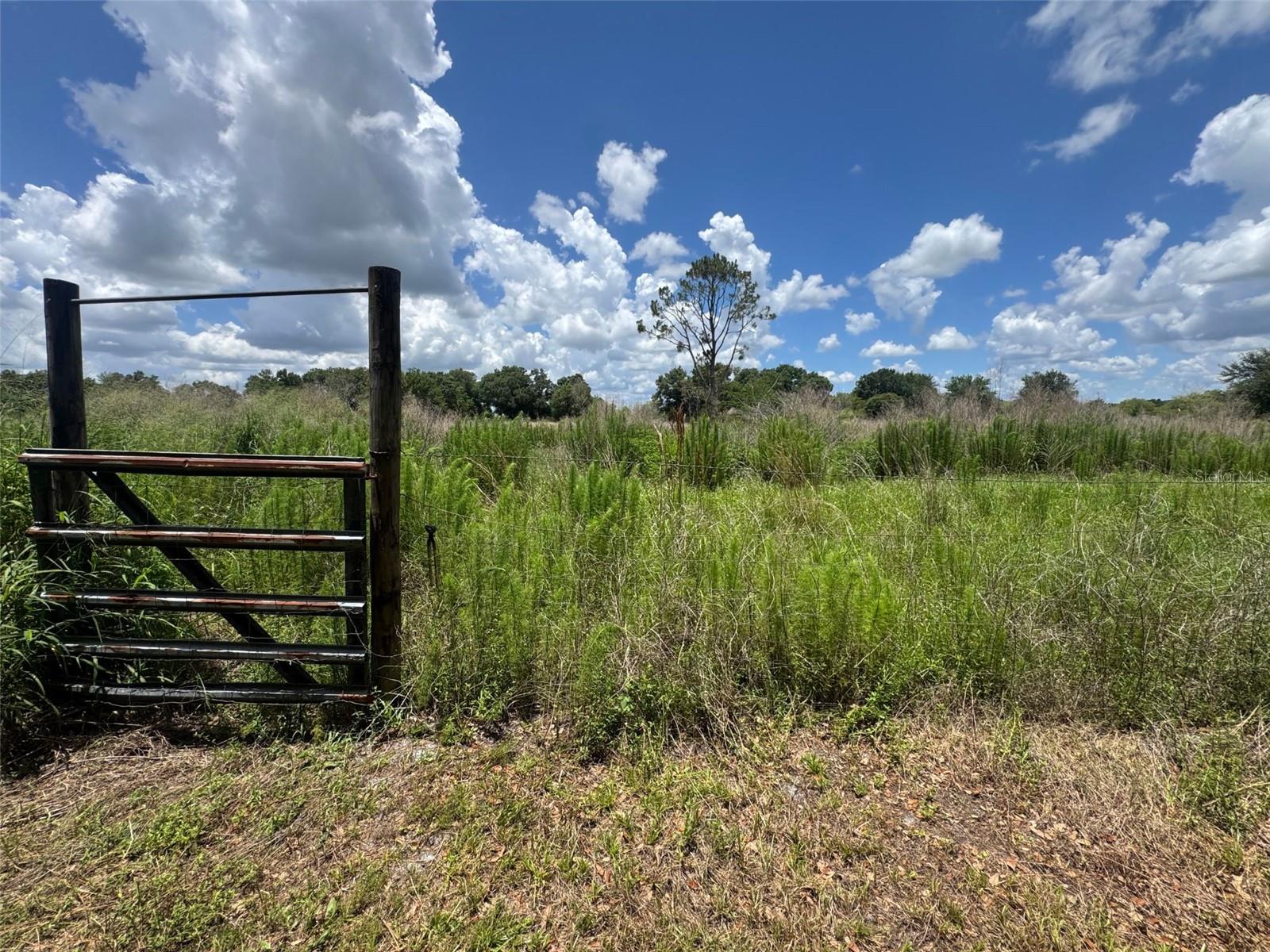 9827 SE HOTH RD, ARCADIA, FL — photo 28
