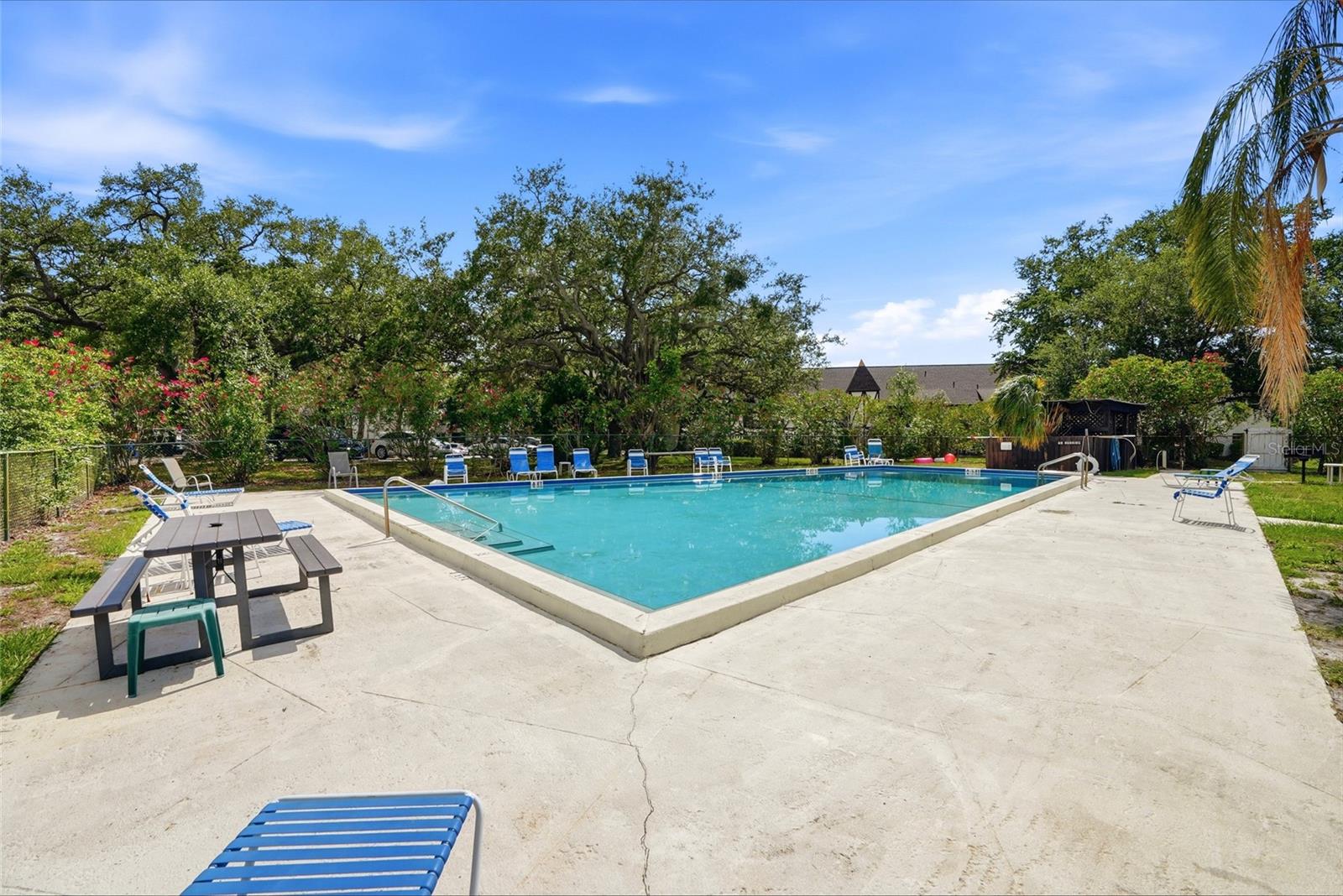 316 N BAYSHORE BLVD #208, CLEARWATER, FL — photo 24