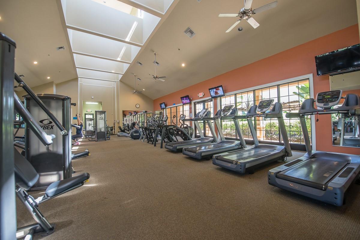 107 SHELL FALLS DR, APOLLO BEACH, FL — photo 40