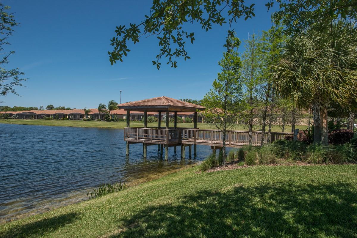 107 SHELL FALLS DR, APOLLO BEACH, FL — photo 43