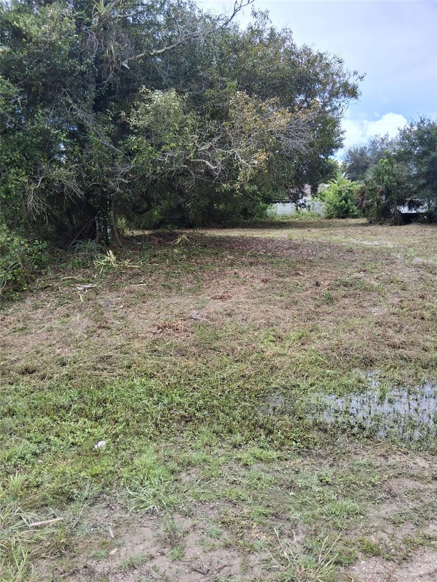 14070 CARLOS STREET, FORT MYERS, FL