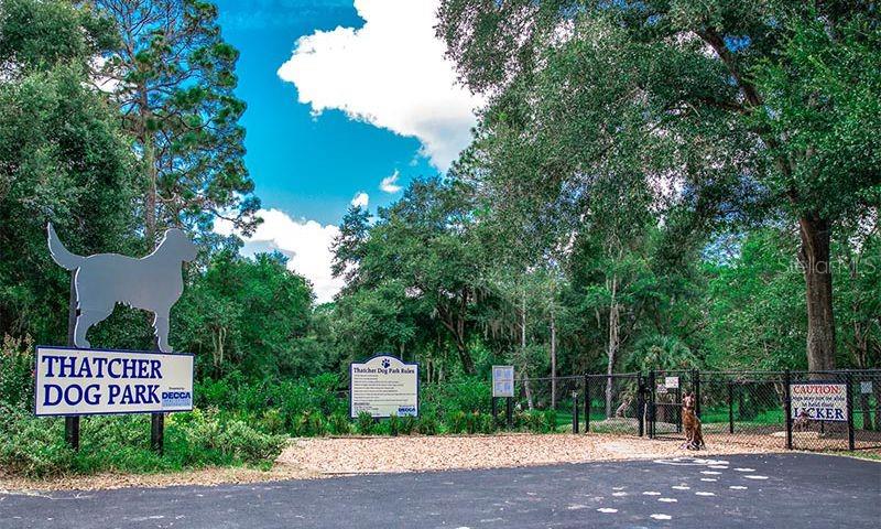 8038 SW 108TH LOOP, OCALA, FL — photo 44