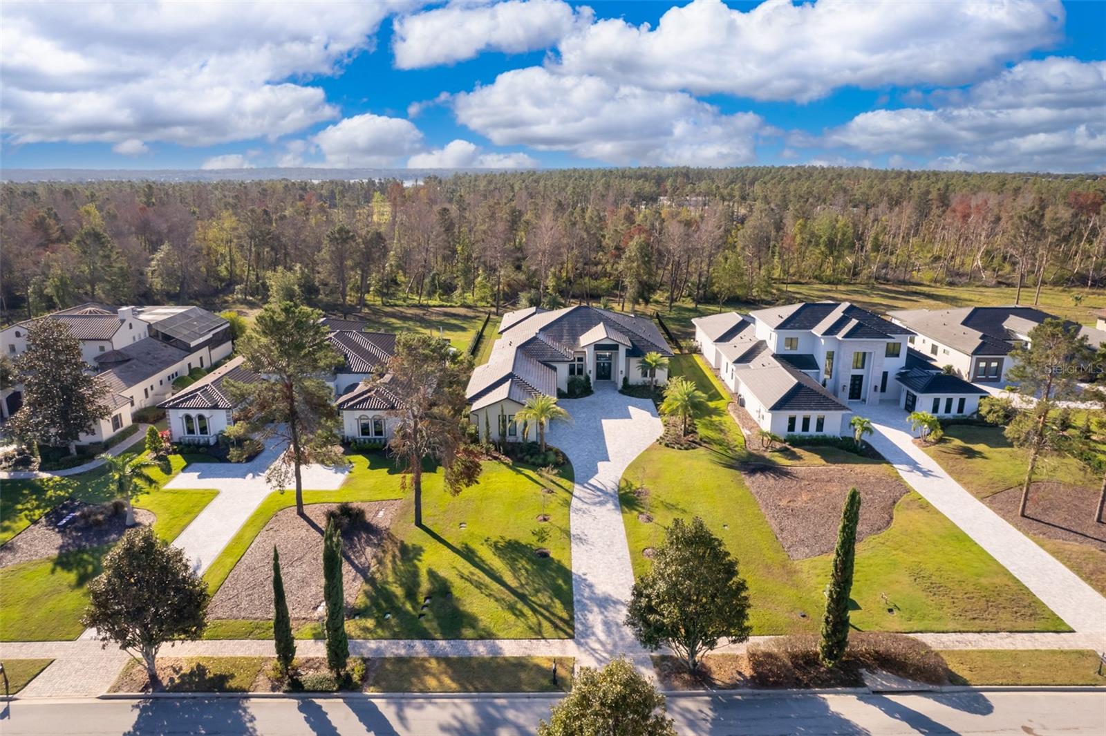15144 PENDIO DR, BELLA COLLINA, FL — photo 87
