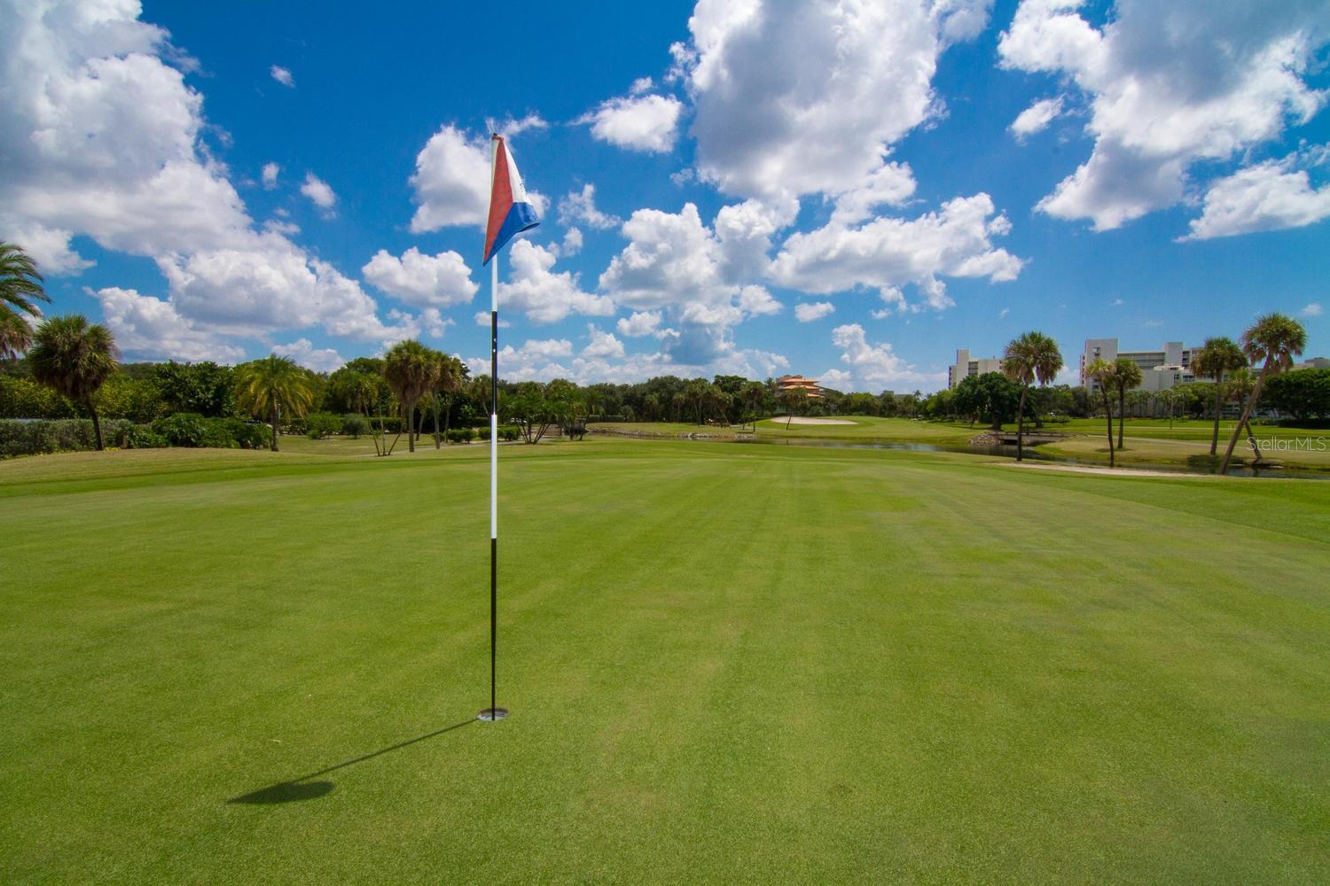 240 SANDS POINT RD #4104, LONGBOAT KEY, FL — photo 41