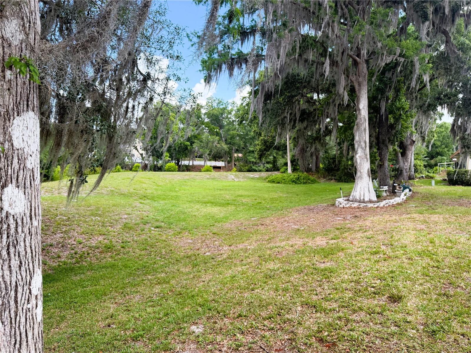 127 ROYAL PALM DR, LEESBURG, FL — photo 95
